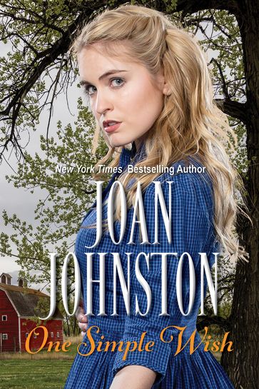 One Simple WishA Novella - Joan Johnston