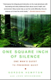 One Square Inch of Silence