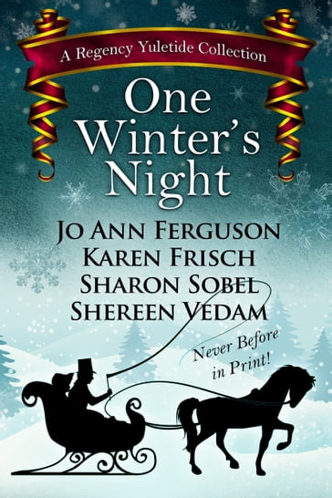 One Winter's Night - Jo Ann Ferguson - Karen Frisch - Sharon Sobel - Shereen Vedam