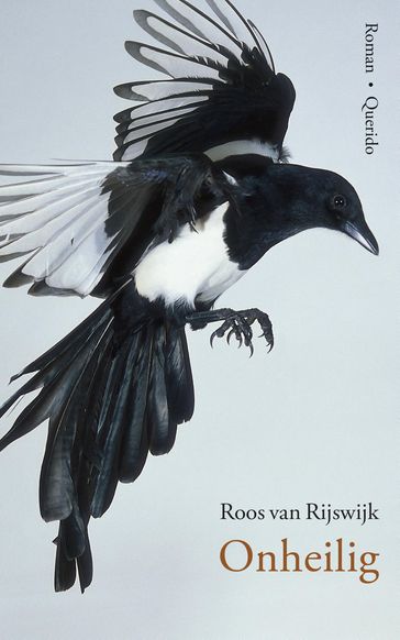 Onheilig - Roos van Rijswijk