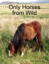 Only Horses from Wild