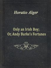 Only an Irish Boy; Or, Andy Burke