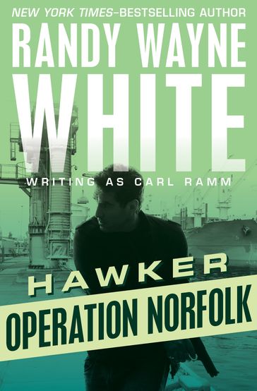 Operation Norfolk - Randy Wayne White