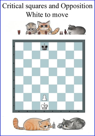 Opposition and critical Squares. The most important Chess Pattern - Rodolfo Pardi