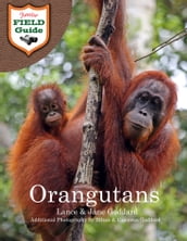 Orangutans