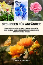 Orchideen für Anfänger