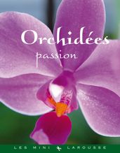 Orchidées passion