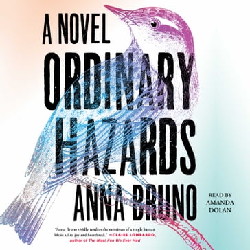 Ordinary Hazards - Anna Bruno