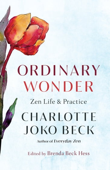 Ordinary Wonder - Charlotte Joko Beck