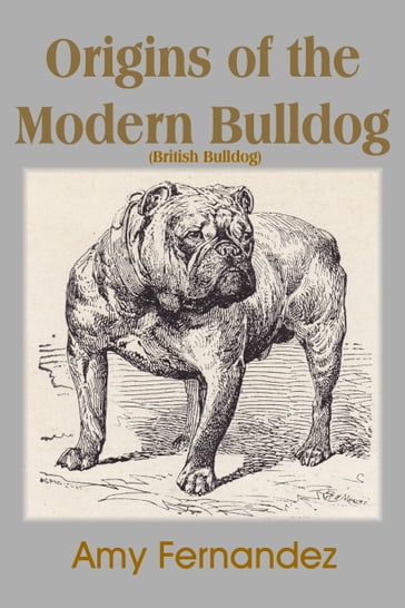 Origins of the Modern Bulldog - Amy Fernandez