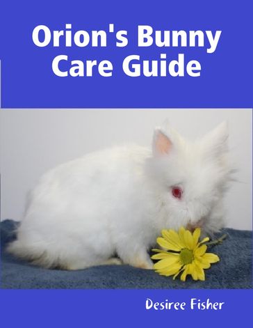 Orion's Bunny Care Guide - Desiree Fisher
