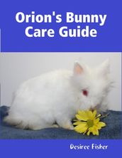 Orion s Bunny Care Guide