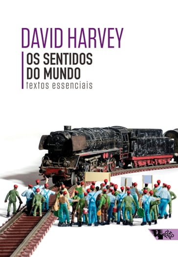 Os sentidos do mundo - David Harvey - John Davey - Raquel Rolnik