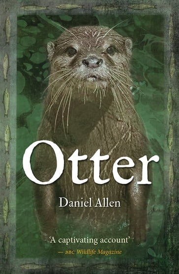 Otter - Daniel Allen