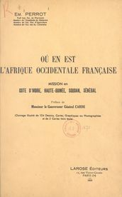 Où en est l Afrique occidentale française ?