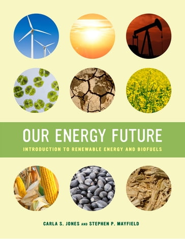 Our Energy Future - Carla S. Jones - Stephen P. Mayfield