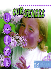 Our Senses