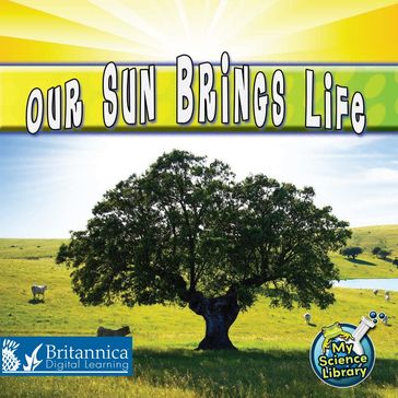 Our Sun Brings Life - Conrad J. Storad