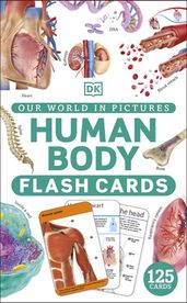 Our World in Pictures Human Body Flash Cards