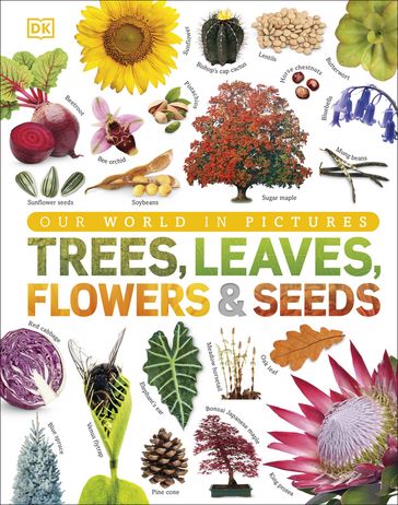 Our World in Pictures: Trees, Leaves, Flowers & Seeds - Dk - Smithsonian Institution