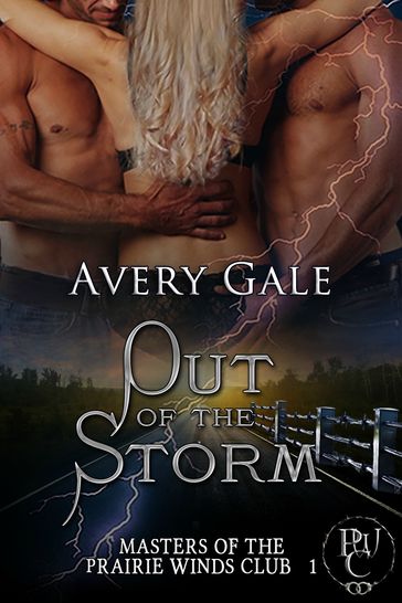Out of the Storm - Avery Gale