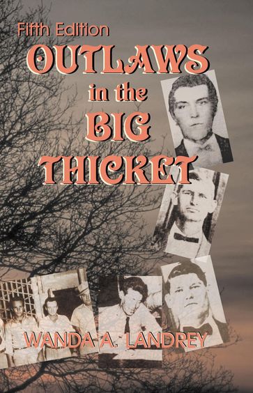 Outlaws in the Big Thicket - Wanda A Landrey