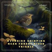 Ovenbird Chirping Near Forest River Trickle