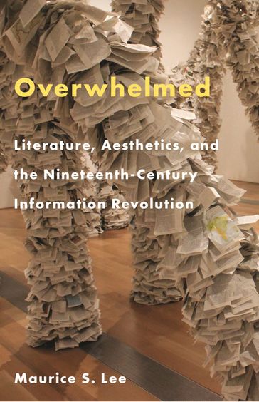 Overwhelmed - Professor Maurice S. Lee