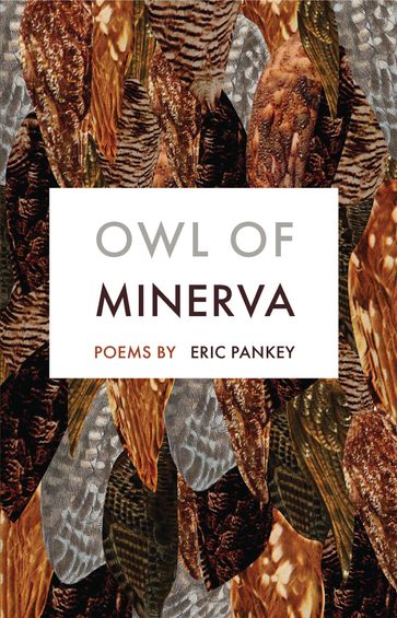 Owl of Minerva - Eric Pankey