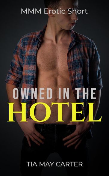 Owned in the Hotel - Tia May Carter