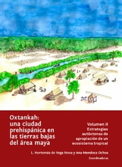 Oxtankah: una ciudad prehispánica en las tierras bajas del área maya