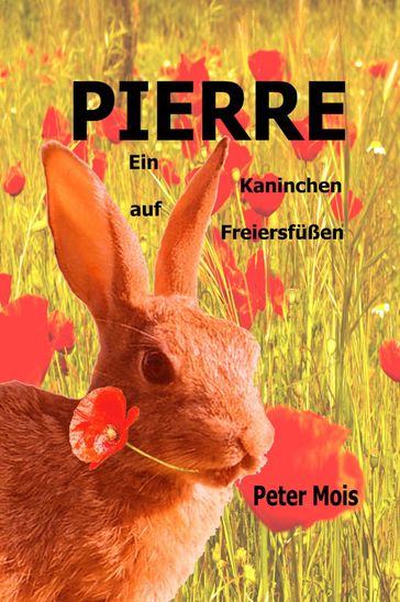 P I E R R E - Peter Mois