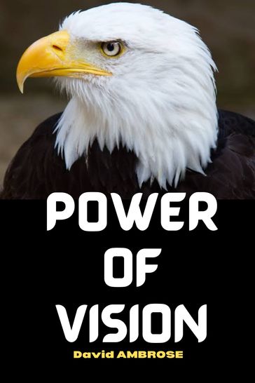 POWER OF VISION - David Ambrose