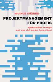 PROJEKTMANAGEMENT FÜR PROFIS