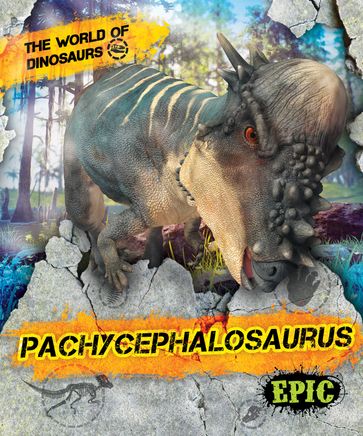 Pachycephalosaurus - Rebecca Sabelko