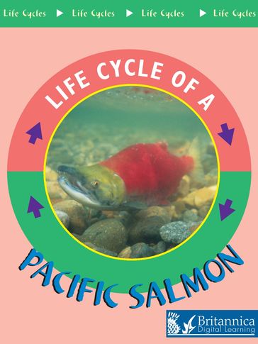 Pacific Salmon - J. Cooper