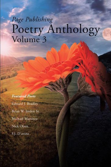Page Publishing Poetry Anthology Volume 3 - Sparkle Kenner