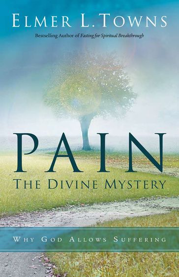 Pain: The Divine Mystery - Elmer Towns