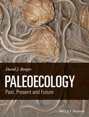 Paleoecology - David J. Bottjer