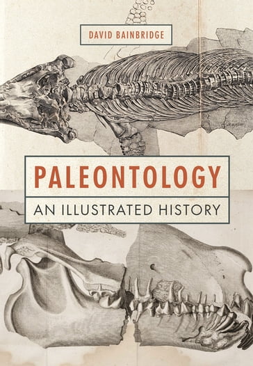 Paleontology - David Bainbridge