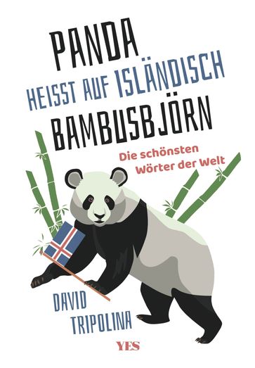 'Panda' heißt auf Isländisch 'Bambusbjörn' - David Tripolina