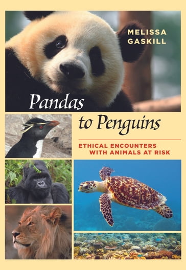Pandas to Penguins - Melissa Gaskill