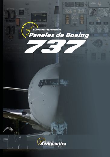 Paneles de Boeing 737 - Facundo Conforti