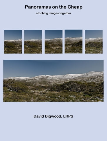 Panoramas on the Cheap - David Bigwood