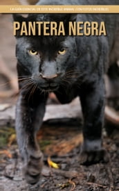 Pantera negra: La guía esencial de este increíble animal con fotos increíbles