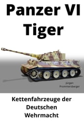 Panzer VI 