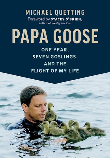 Papa Goose - Michael Quetting