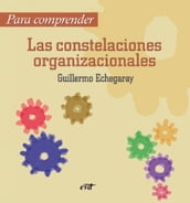 Para comprender las constelaciones organizacionales