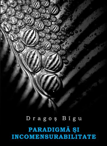 Paradigma i incomensurabilitate - Bîgu Drago