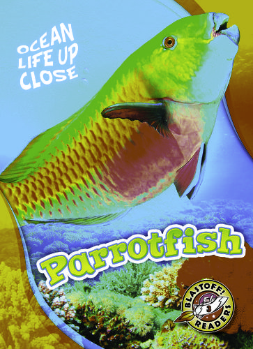 Parrotfish - Mari Schuh